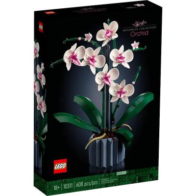 The Botanical Collection Orchidee