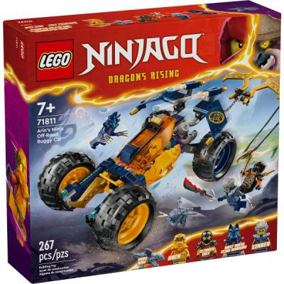 Arins ninjaterreinbuggy